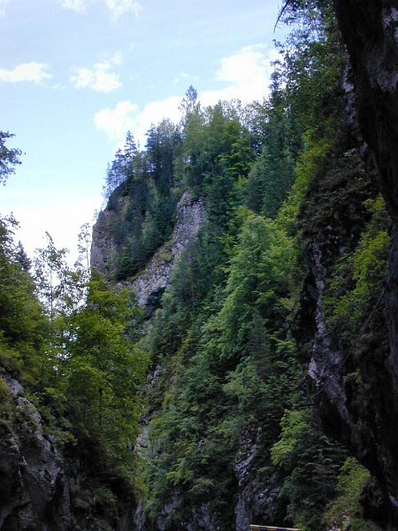 DSCN5598 (web).jpg